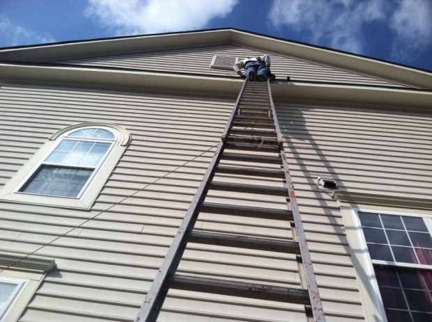 Residential Wildlife Repair, Wildlife Removal